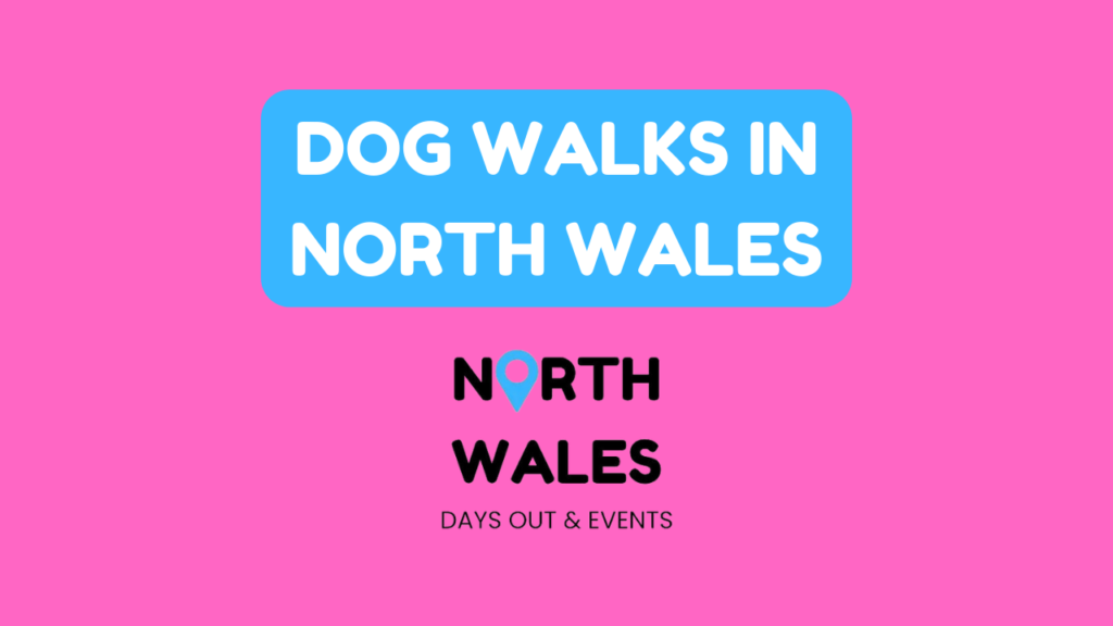 Dog Walks in North Wales